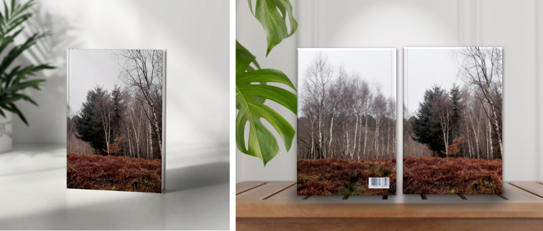 Winter Birch &amp; Pine