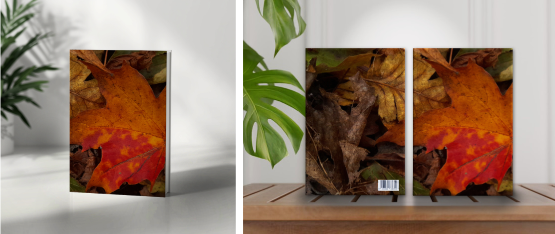 Orange &amp; Red Leaf